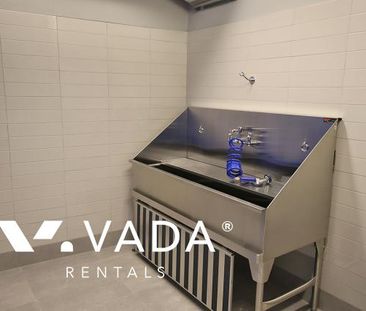 Unfurnished, 1 Bed 1 Bath Apartment For Rent - Photo 2