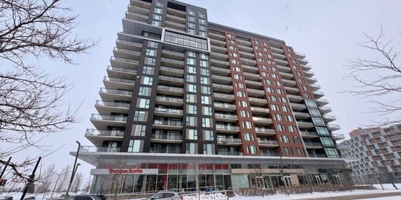 Appartement à louer - Brossard (Noms de rues (C)) Appartement à louer - Brossard (Noms de rues (C)) - Photo 3