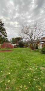 For Lease - 232 McNeilly Road, Hamilton, Ontario - Photo 3