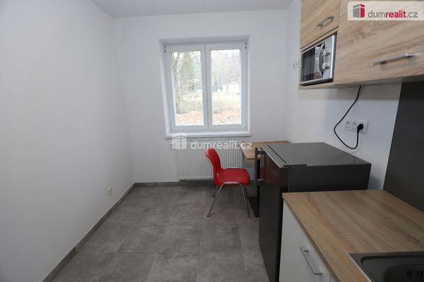 Pronájem bytu 1+kk 15 m² - Photo 1