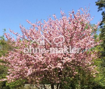 = OHNE MAKLER = AB SOFORT FREI - ruhige, möblierte Wohnung in Hambu... - Foto 5