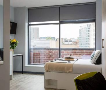 Gold Studio - Photo 5