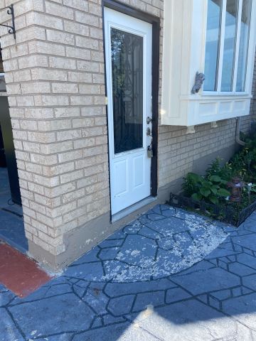 For Lease - 50 Verona Court Unit# Lower Level, Richmond Hill, Ontario - Photo 5