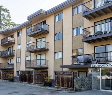 Gorge Apartments — 2 Bedroom available at 215-221,155,157 & 243 Gorge Road East - Photo 4