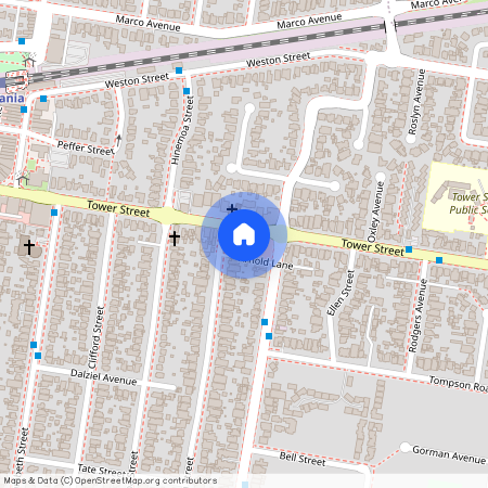 163b Tower st, NSW 2213, Panania