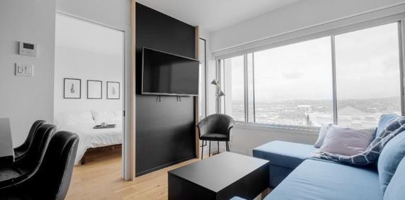 3 ½ entièrement meublé à louer Saint-Jean-Baptiste septembre 2026 - Photo 2