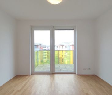 Mitten in Linz und doch so grün - schön & praktisch Wohnen - Photo 1