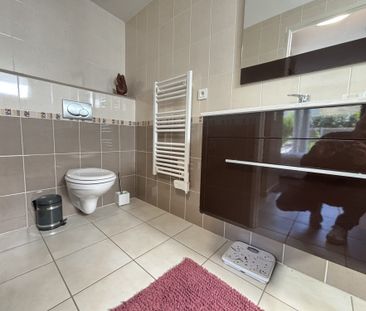 Location Appartement 1 pièce 21m² LES SABLES D’OLONNE 85180 - Photo 6