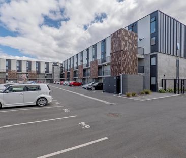 204/118 Salisbury Street, City Centre (Christchurch City) - Photo 4