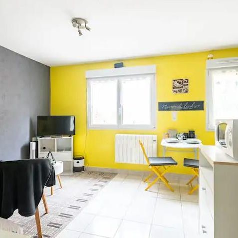 Location Appartement 1 pièce 20m² DIJON 21000 - Photo 1