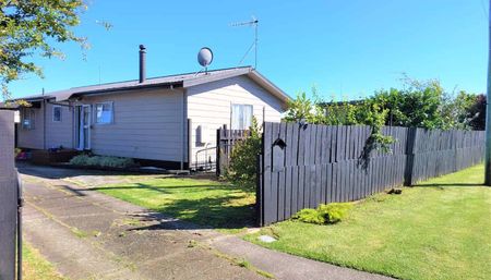 Sunny Three-Bedroom Family Home - Photo 4