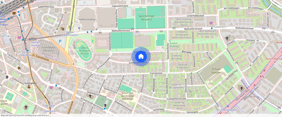 Greifenseestrasse **, 8050 Zürich