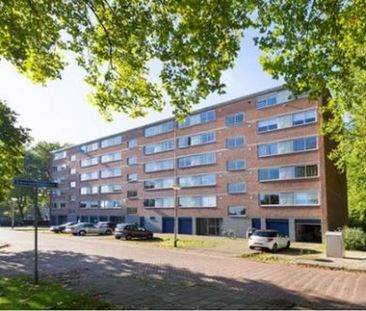 Doorwerthstraat 4834 PP Breda - Photo 4