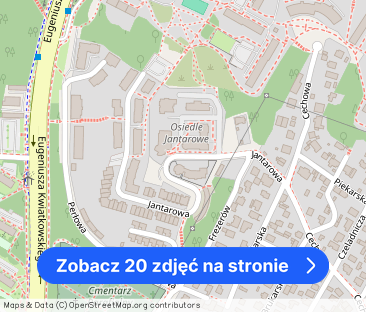 Słoneczne mieszkanie 5-pok. z widokiem na las - Zdjęcie 1