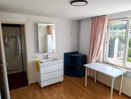 Chambre meublée Ter Hofstadlaan, Someren - À louer - Foto 3