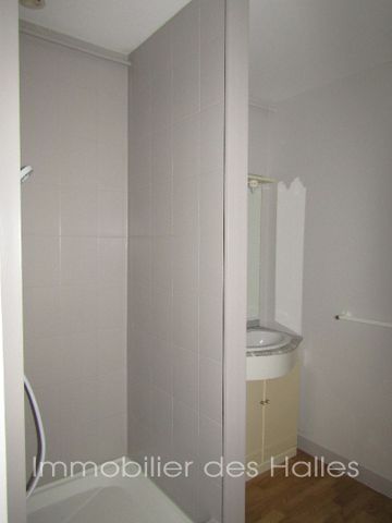 Location Appartement 3 pièces 50m² - Photo 3