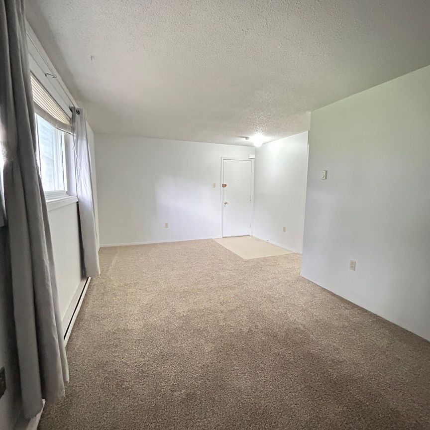 For Lease - 29 McNichol Avenue Unit# 1, Quinte West, Ontario - Photo 1