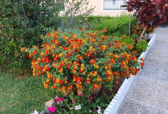 Ref 15548 – **Great apartment with sea views! Spacious, with lots of natural light and in perfect condition** Fuengirola **Available from December 2025 to June 2026****