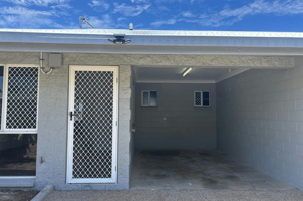 Freshly Renovated, Move-In-Ready Unit in Central Location - Photo 1