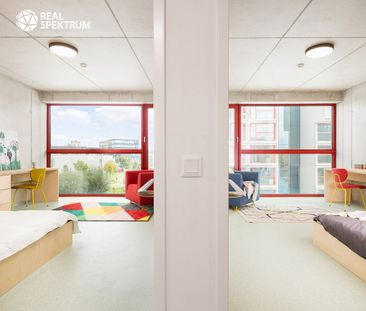 Pronájem bytu 2+1 50 m² - Fotografie 4