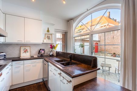riante duplex in statige herenwoning, hartje Antwerpen - Photo 2