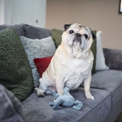 2 bedroom apartment - Photo 1