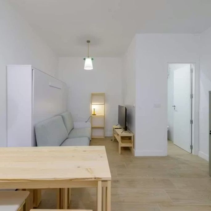 Calle del Salitre, Madrid, Community of Madrid 28012 - Photo 1