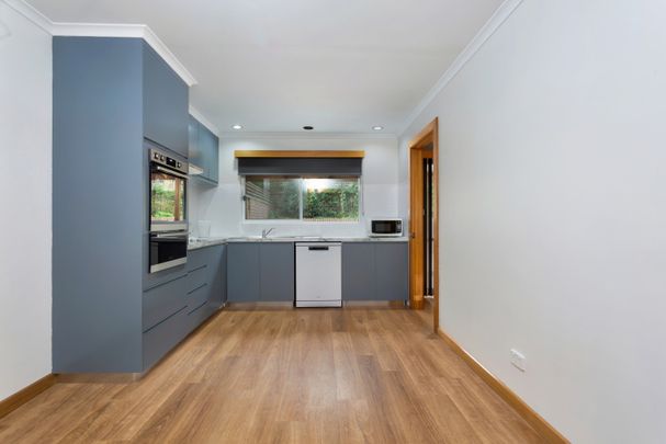 Renovated Within Walking Distance to the City - Photo 1