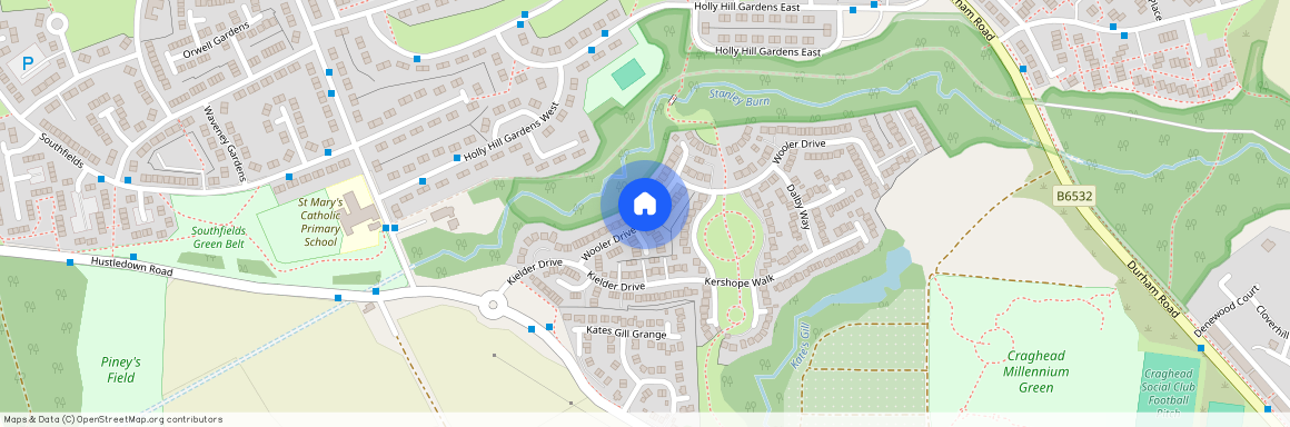 Wooler Drive, The Middles, Stanley, Durham, DH9 6BF