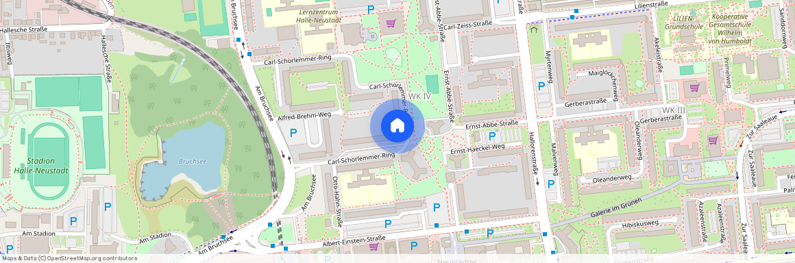 Carl-Schorlemmer-Ring 19, 06122 Sachsen-Anhalt - Halle
