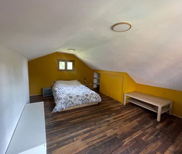 PAYS DE BRAYS : MAISON INDIVIUELLE A LOUER, - Photo 1