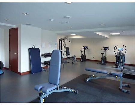 242 Rideau Street Unit 403 - Photo 4