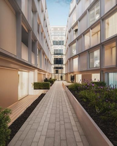 240 Rue Notre-Dame O, Montréal, QC - Photo 2
