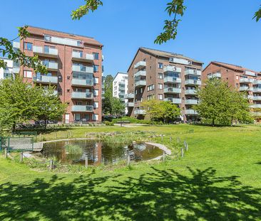 Signe Tillischgatan, Solna - Foto 1