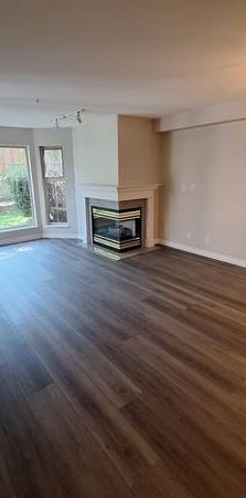 Spacious NEWLY Renovated 1 Bedroom with Private Terrace - Photo 1