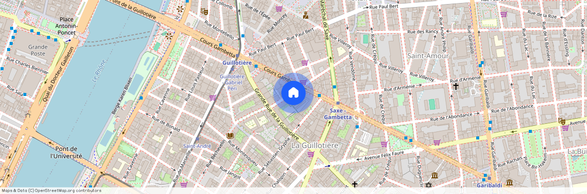 12 Rue Louis Dansard, 69007 Lyon, France