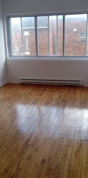 NDG Studio Apt - Photo 1