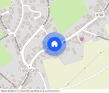 Hauptsache 87, 67705 Trippstadt - Foto 1