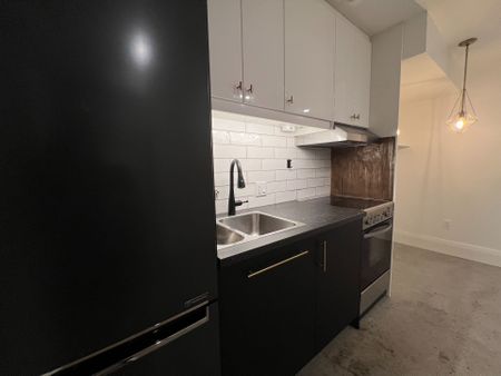 For Lease - 110 Caroline Avenue Unit# Lower, Toronto, Ontario - Photo 4