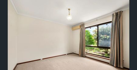 Spacious & Private - Walk to Garden City - Photo 5