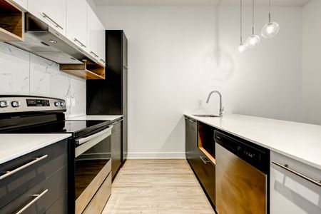 9675 Av. Papineau - Photo 2