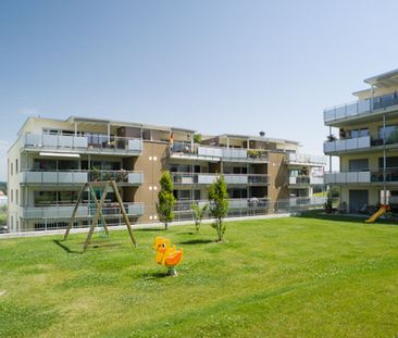 3.5 Zimmer-Wohnung in Tägerwilen - Photo 2