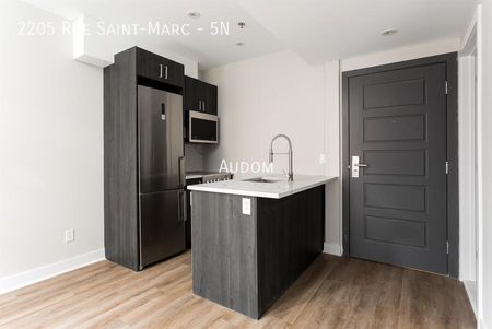 2205 Rue Saint-Marc - 5N - Photo 2