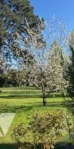 A LOUER EN MEUBLE MAISON FAMILIALE DANS LE QUARTIER DU BOIS SAINT DENIS A CHANTILLY - Photo 4