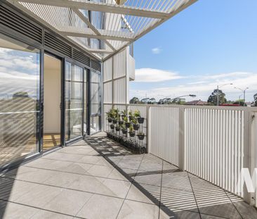 206/7 Balcombe Road, Mentone VIC 3194 - Apartment For Rent | Domain - Photo 6
