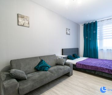 2 pokoje I Serenada I od zaraz I pets friendly I - Photo 1