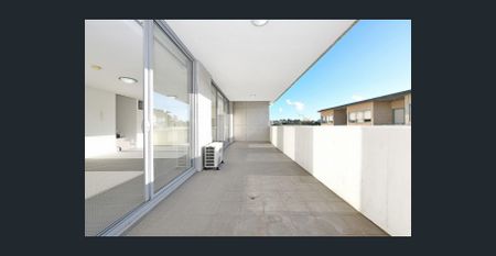 Huge indoor/outdoor open plan living - Photo 3