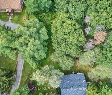 For Lease - 14170 Yonge Street Unit# Unit A, Aurora, Ontario - Photo 3