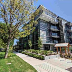 #101 488 W 58th Ave, Vancouver, BC V5Y 2Z5, Canada - Photo 1