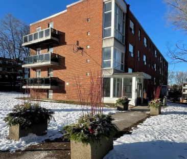 4 Hill Heights, Toronto — Bachelor - Photo 4